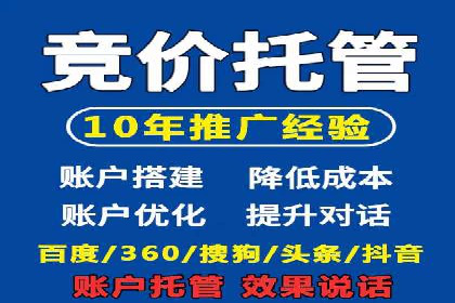 百度推广优化策略：成功案例解析
